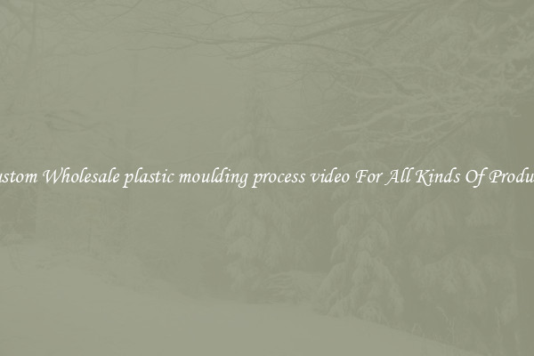 Custom Wholesale plastic moulding process video For All Kinds Of Products