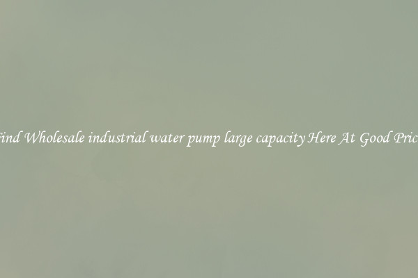 Find Wholesale industrial water pump large capacity Here At Good Prices