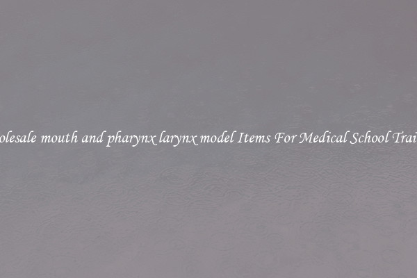 Wholesale mouth and pharynx larynx model Items For Medical School Training