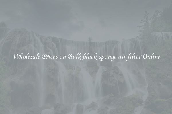 Wholesale Prices on Bulk black sponge air filter Online