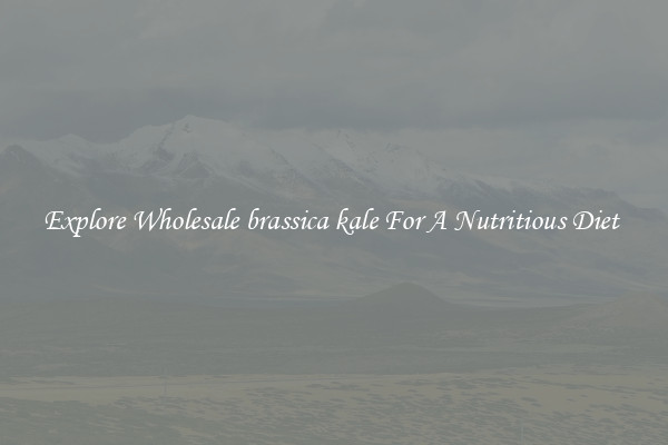 Explore Wholesale brassica kale For A Nutritious Diet 