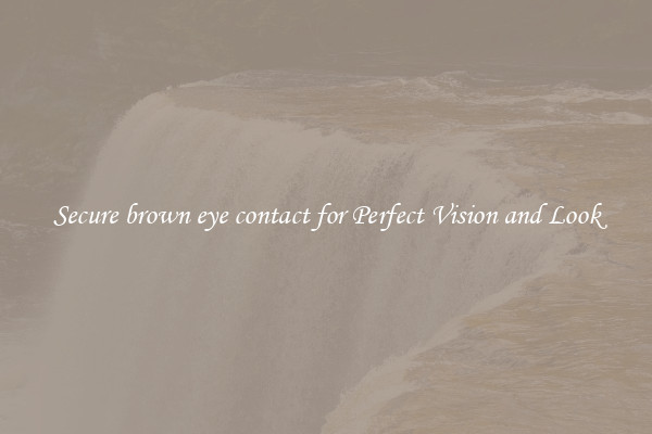 Secure brown eye contact for Perfect Vision and Look
