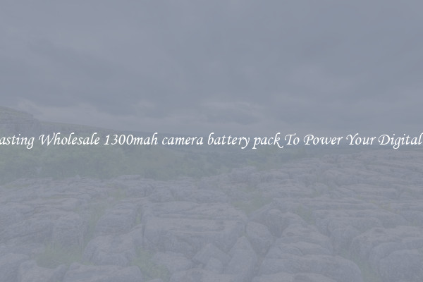 Long Lasting Wholesale 1300mah camera battery pack To Power Your Digital Devices