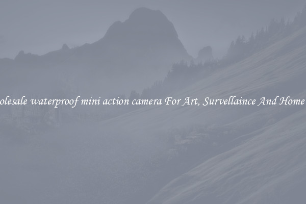 Wholesale waterproof mini action camera For Art, Survellaince And Home Use