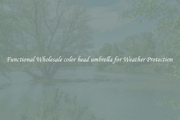 Functional Wholesale color head umbrella for Weather Protection 