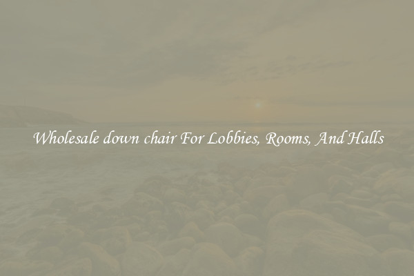 Wholesale down chair For Lobbies, Rooms, And Halls
