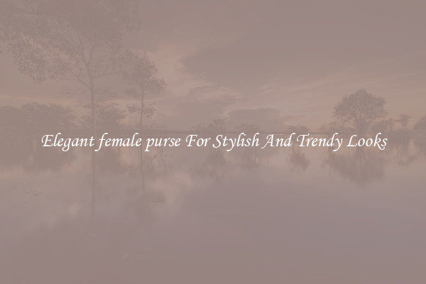 Elegant female purse For Stylish And Trendy Looks
