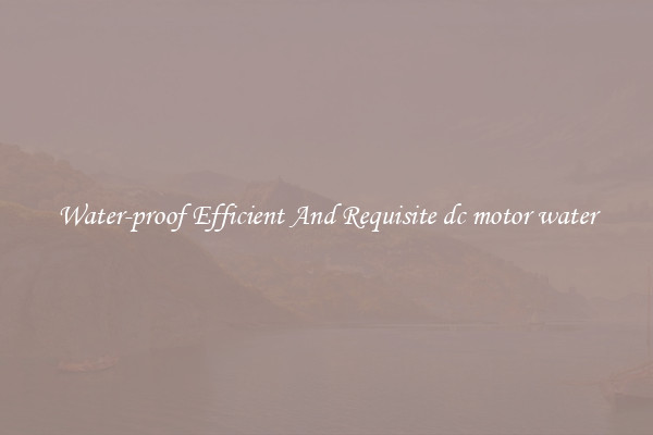 Water-proof Efficient And Requisite dc motor water