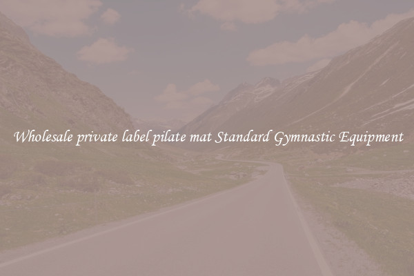 Wholesale private label pilate mat Standard Gymnastic Equipment