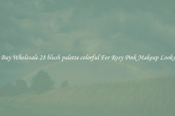 Buy Wholesale 28 blush palette colorful For Rosy Pink Makeup Looks