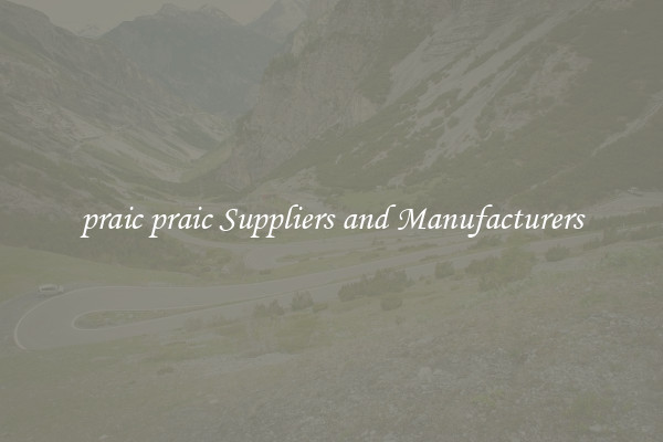 praic praic Suppliers and Manufacturers