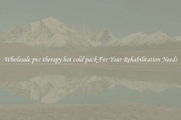 Wholesale pvc therapy hot cold pack For Your Rehabilitation Needs
