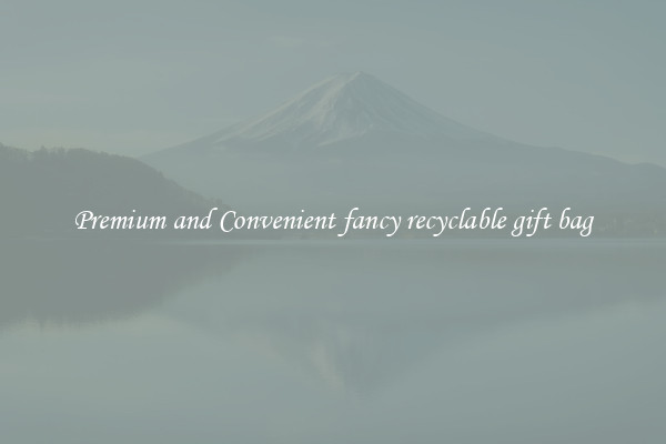 Premium and Convenient fancy recyclable gift bag