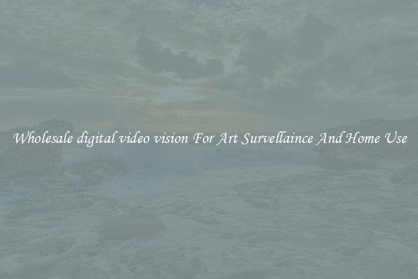 Wholesale digital video vision For Art Survellaince And Home Use