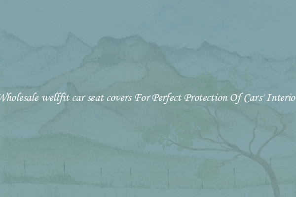 Wholesale wellfit car seat covers For Perfect Protection Of Cars' Interior 