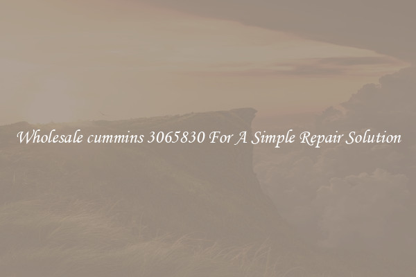 Wholesale cummins 3065830 For A Simple Repair Solution
