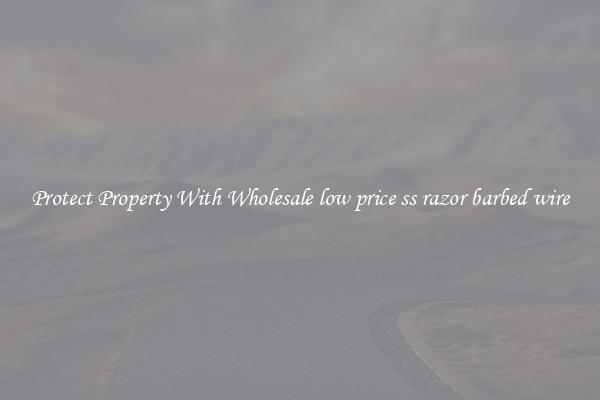 Protect Property With Wholesale low price ss razor barbed wire
