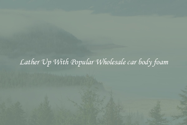 Lather Up With Popular Wholesale car body foam