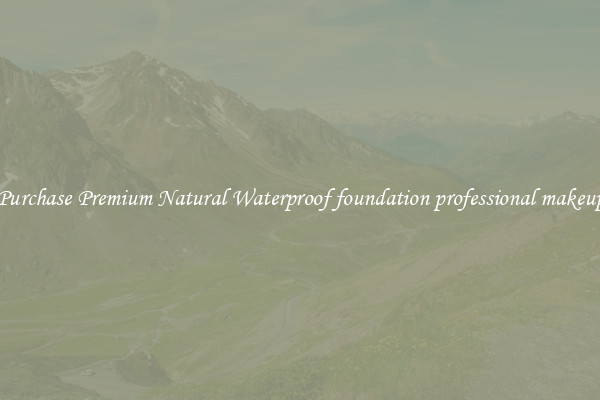 Purchase Premium Natural Waterproof foundation professional makeup